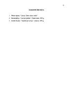 Referāts 'Rēzeknes pilsētas kultūras un cits raksturojums', 12.