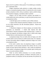 Diplomdarbs 'SIA daļu pirkuma līguma tiesiskais regulējums un praktiskais pielietojums', 42.