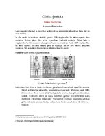 Prezentācija 'Cilvēka ģenētika', 1.