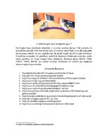 Prezentācija 'Cilvēka ģenētika', 9.