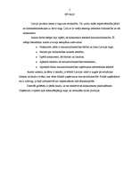 Referāts 'Konkurence mazumtirzdniecībā', 2.