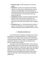 Referāts 'Konkurence mazumtirzdniecībā', 5.