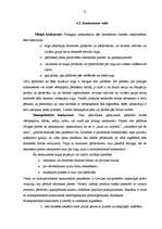 Referāts 'Konkurence mazumtirzdniecībā', 9.