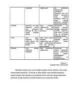 Referāts 'Konkurence mazumtirzdniecībā', 12.