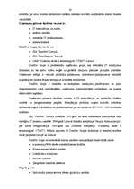 Referāts 'Konkurence mazumtirzdniecībā', 28.