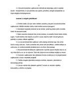 Referāts 'Konkurence mazumtirzdniecībā', 32.