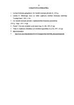 Referāts 'Konkurence mazumtirzdniecībā', 33.