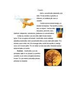 Konspekts 'Krāsu nozīmes', 9.