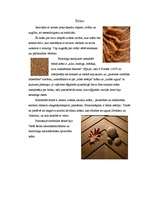 Konspekts 'Krāsu nozīmes', 10.