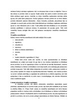 Referāts 'Tūrisma attīstība Ķeguma novadā', 11.