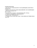 Referāts 'Livonijas ordeņa Cēsu mūra pils', 11.