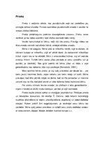 Referāts 'Pedagoģiskā saskarsme', 7.