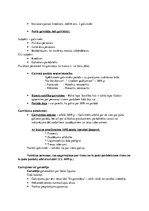 Konspekts 'Saistību tiesības', 9.