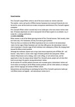 Referāts 'Tourism Situation in New Zealand', 11.