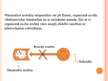 Prezentācija 'Olbaltumvielu denaturācija', 6.