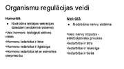 Prezentācija 'Kā notiek organisma darbības regulācija', 4.
