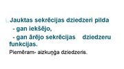 Prezentācija 'Kā notiek organisma darbības regulācija', 10.