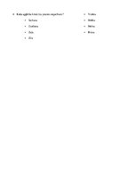 Referāts 'Emociju un garastāvokļa saistība ar cilvēka apģērba krāsas izvēli', 25.