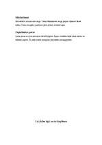 Referāts 'Kosmētikas ietekme uz jauniešu veselību', 14.