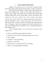 Referāts 'Trauku mazgāšanas līdzekļi', 4.