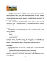 Referāts 'Bioloģiskā lauksaimniecība Latvijā', 13.