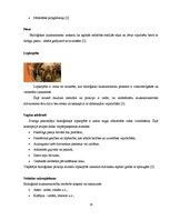 Referāts 'Bioloģiskā lauksaimniecība Latvijā', 16.