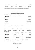 Referāts 'Kiberdrošība Latvijā un Eiropas Savienībā: draudi, risinājumi un attīstības pers', 17.