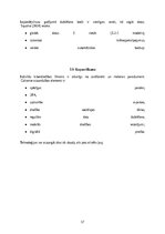 Referāts 'Kiberdrošība Latvijā un Eiropas Savienībā: draudi, risinājumi un attīstības pers', 18.