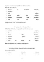 Referāts 'Kiberdrošība Latvijā un Eiropas Savienībā: draudi, risinājumi un attīstības pers', 22.