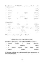 Referāts 'Kiberdrošība Latvijā un Eiropas Savienībā: draudi, risinājumi un attīstības pers', 25.