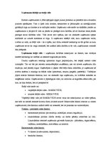 Referāts 'Uzņēmuma iekšējā un ārējā viede', 1.