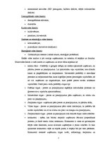 Referāts 'Uzņēmuma iekšējā un ārējā viede', 2.