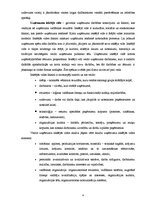 Referāts 'Uzņēmuma iekšējā un ārējā viede', 4.