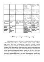 Prakses atskaite 'Uzņēmējdarbības prakse a/s "Hansabanka"', 10.