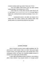 Referāts 'Lauksaimniecība', 13.