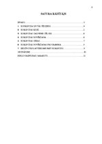 Referāts 'Korupcija', 3.