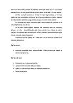 Referāts 'Televīzijas attīstība Latvijā un tās nākotnes perspektīvas', 4.