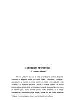 Referāts 'Televīzijas attīstība Latvijā un tās nākotnes perspektīvas', 5.