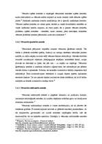 Referāts 'Televīzijas attīstība Latvijā un tās nākotnes perspektīvas', 9.