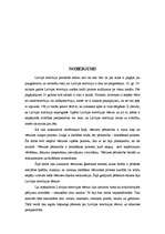 Referāts 'Televīzijas attīstība Latvijā un tās nākotnes perspektīvas', 22.