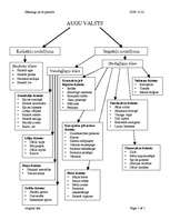 Konspekts 'Augu valsts', 1.