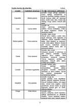 Referāts 'Aromterapija', 17.