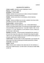 Referāts 'Aromterapija', 29.