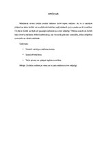 Referāts 'Drukāto reklāmu "Puma" un "Diesel" vizuālā attēlu analīze, auditorijas uztveres ', 2.