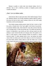 Referāts 'Drukāto reklāmu "Puma" un "Diesel" vizuālā attēlu analīze, auditorijas uztveres ', 6.