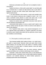 Diplomdarbs 'Grāmatvedības uzskaite, analīze un nodokļi tirdzniecības mikrouzņēmumā', 29.
