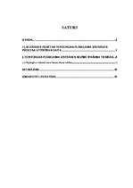 Referāts 'Lielvārdes pilsētas teritorijas plānojuma izstrādes procesa attīstības gaita un ', 1.