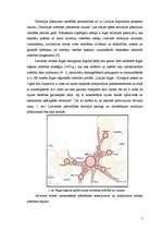 Referāts 'Lielvārdes pilsētas teritorijas plānojuma izstrādes procesa attīstības gaita un ', 5.