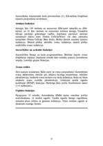 Referāts 'Nokia mobilie telefoni', 23.