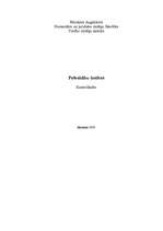 Referāts 'Pašvaldību tiesības', 1.